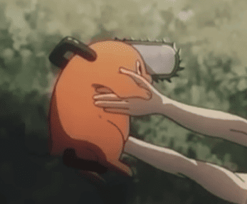 들어 올려진 포치타