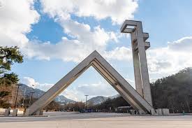서울대학교